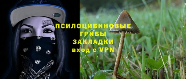 хмурый Армянск