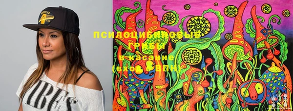 спиды Алексеевка