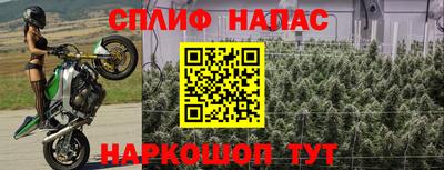 трава Будённовск