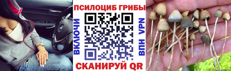 Псилоцибиновые грибы мицелий Асбест