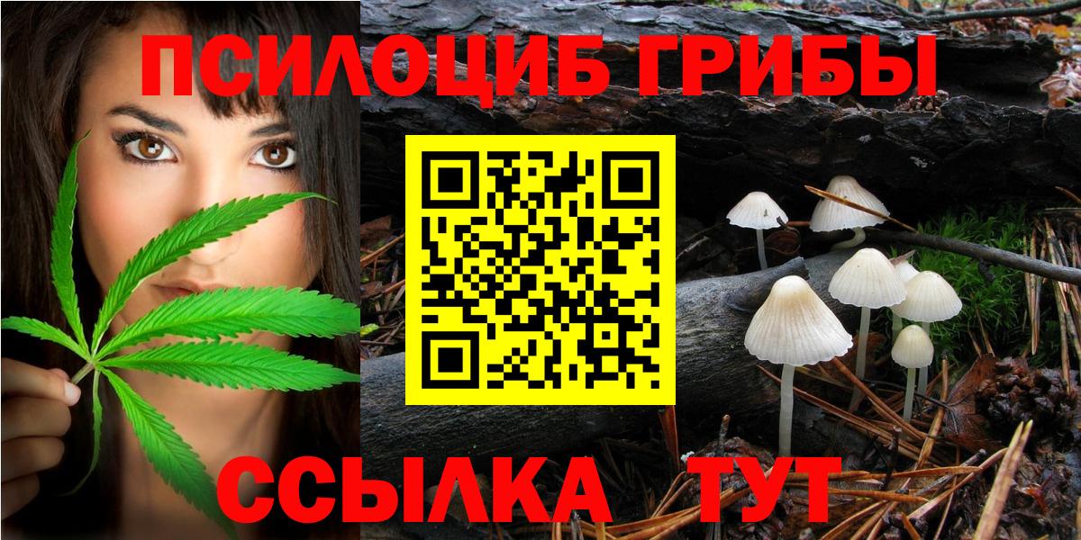 Псилоцибиновые грибы мухоморы Асбест