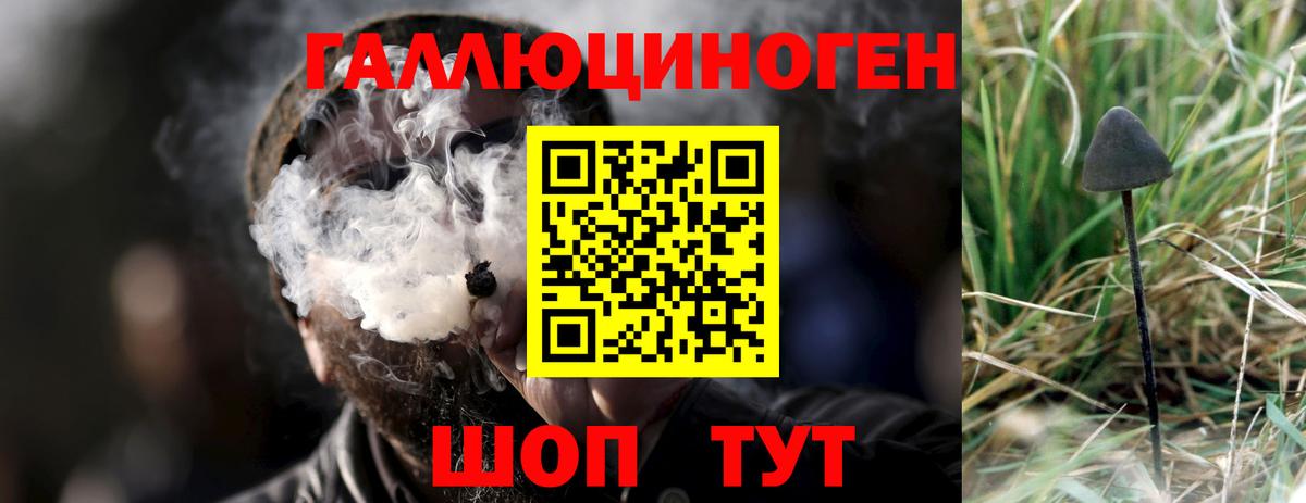 Псилоцибиновые грибы GOLDEN TEACHER  Вход с VPN  Асбест  Галлюциногенные грибы Psilocybine cubensis 